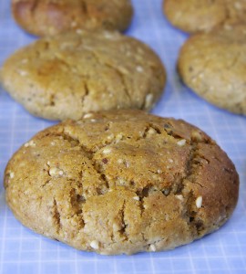 Home-Made Protein Cookies