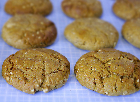 Home-Made Protein Cookies