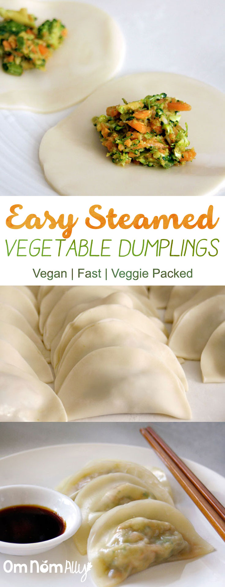 Easy Steamed Vegetable Dumplings @OmNomAlly 