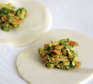 Carrot and Broccoli Vegetable Dumplings