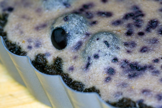 Blueberry Ricotta Cheesecake