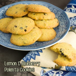 Om Nom Ally - Lemon & Blueberry Polenta Cookies