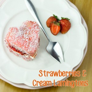 Om Nom Ally - Strawberries & Cream Lamingtons