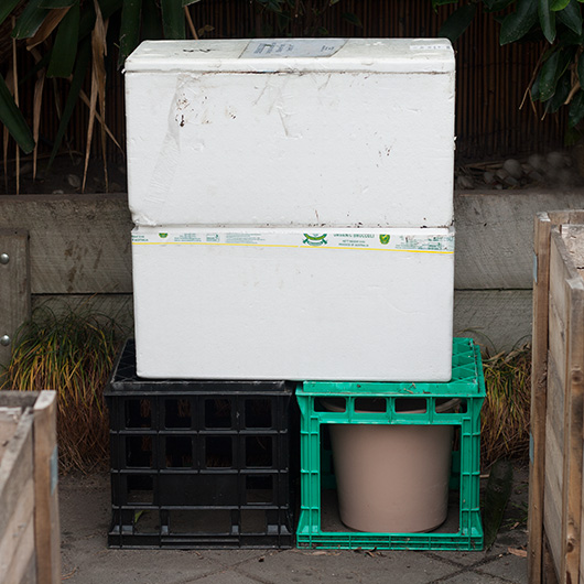 Home Made Worm Farm from Polystyrene Containers