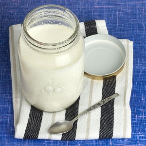 Natren Home-made Yoghurt