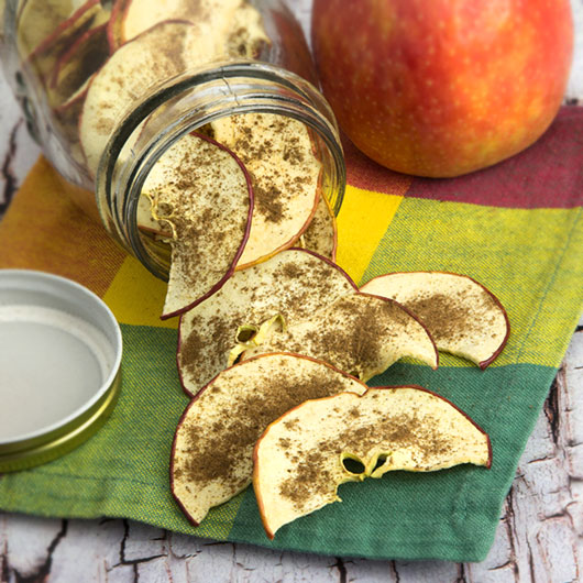 Om Nom Ally - Vanilla Spice Apple Chips