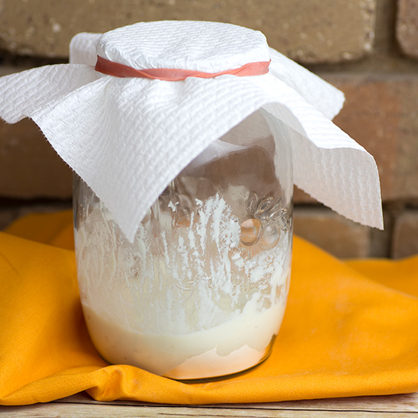 How to Make a Sourdough Starter From Scratch - Day One