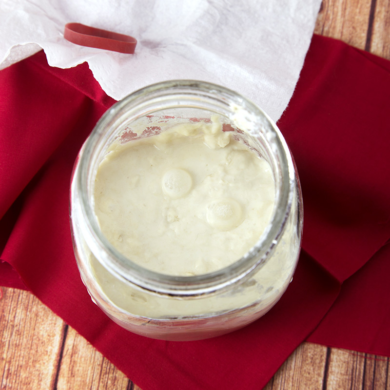 Making a Sourdough Starter From Scratch - Day 4 | Om Nom Ally