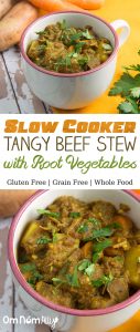 Slow Cooker Tangy Beef Stew with Root Vegetables @OmNomAlly - are you ready for this gluten-free, grain free and wholefood beef stew - WITH a paleo option?