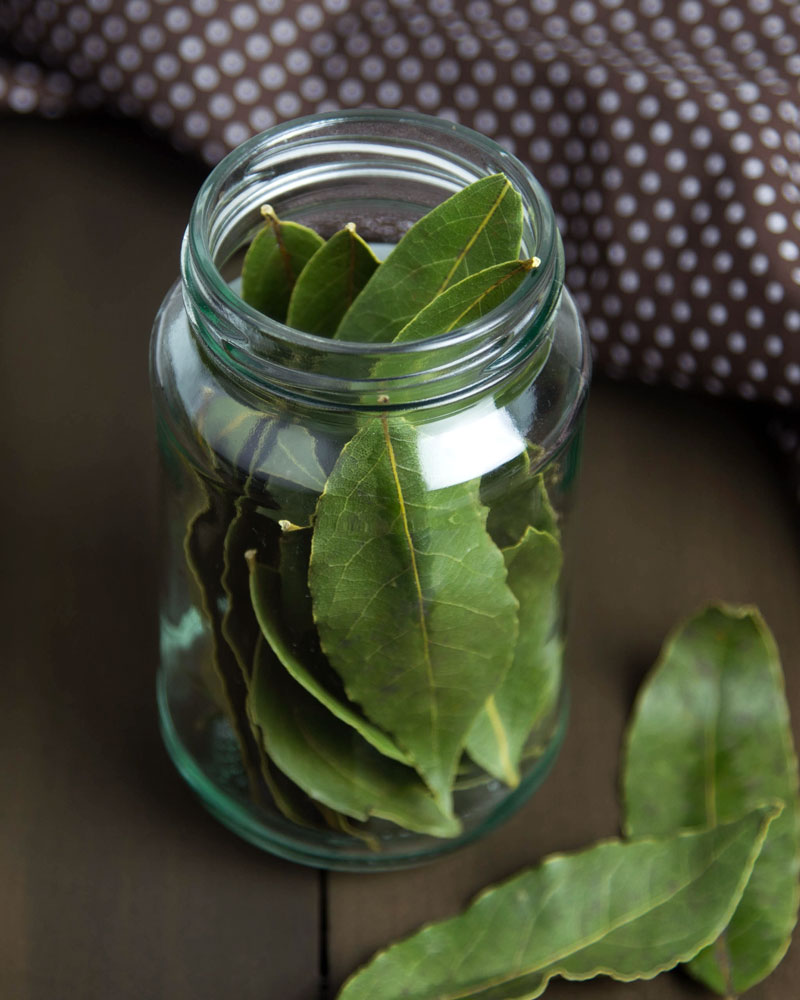 How to Dehydrate Bay Leaves @OmNomAlly - preserve your herbs! | @OmNomAlly