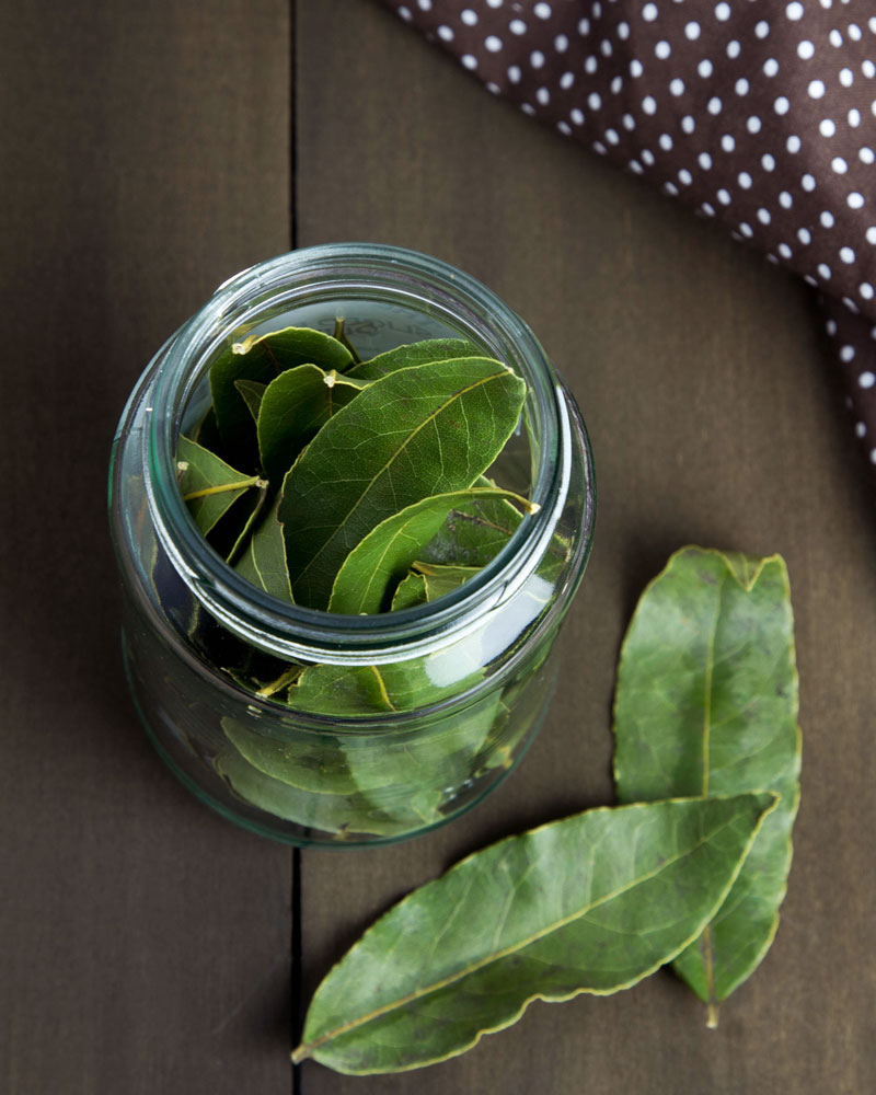 How To Dehydrate Bay Leaves @OmNomAlly