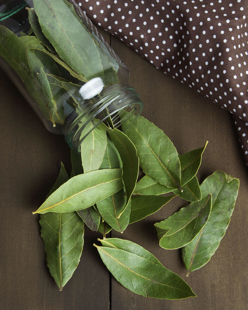 How to Dry Bay Leaves: 3 Easy Methods for Drying