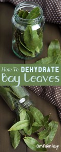 How To Dehydrate Bay Leaves @OmNomAlly