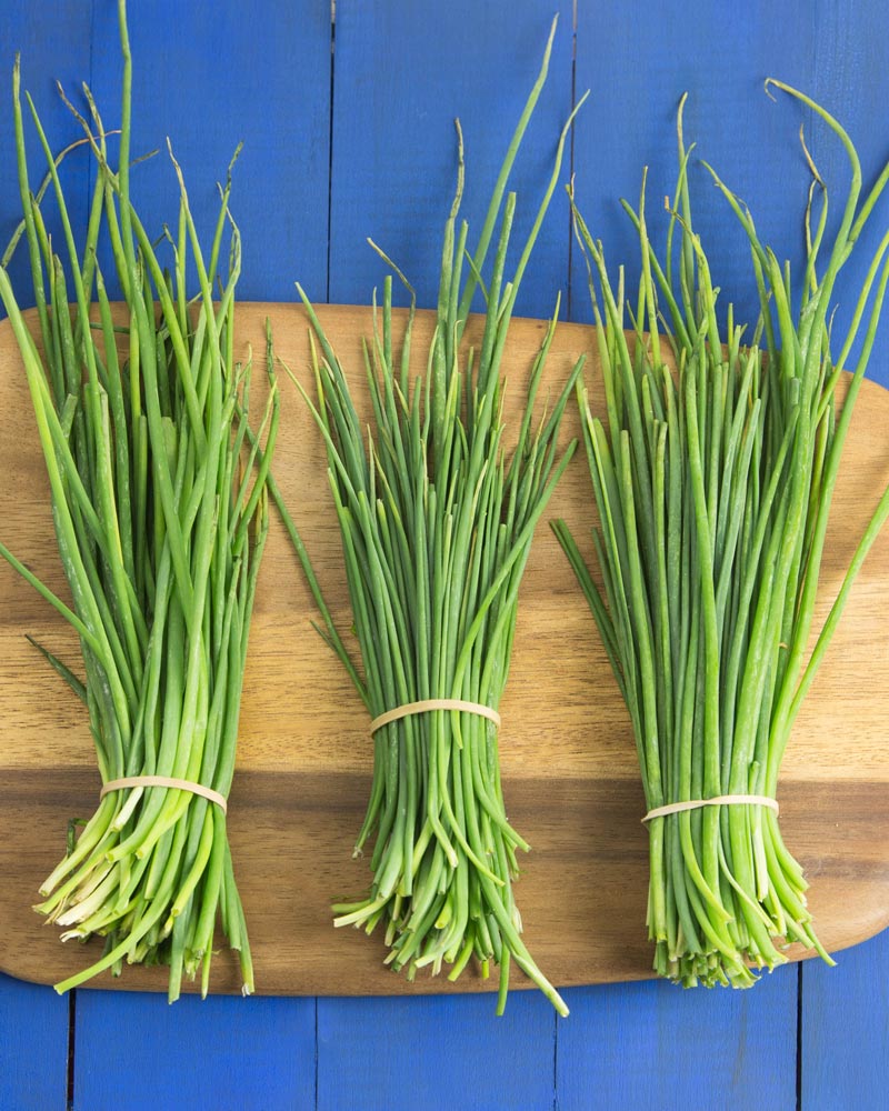 How to Freeze Fresh Chives (and how to use them) @OmNomAlly | It's incredibly easy to freeze fresh chives, so you can preserve the harvest whenever you have a glut of this flavourful herb.