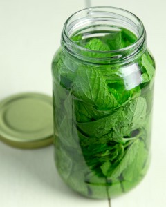 How to Make Your Own Mint Extract @OmNomAlly