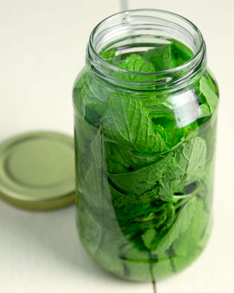 homemade mint extract