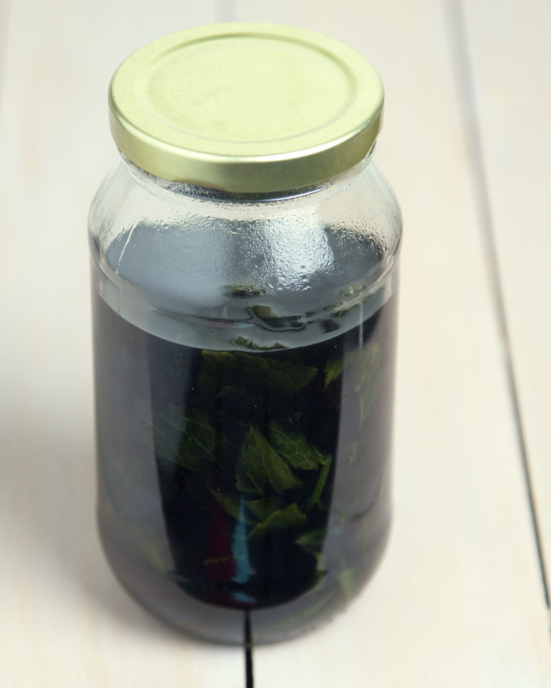 How (I Failed) to Make Mint Extract @OmNomAlly | "This is supposed to be easy, right?"