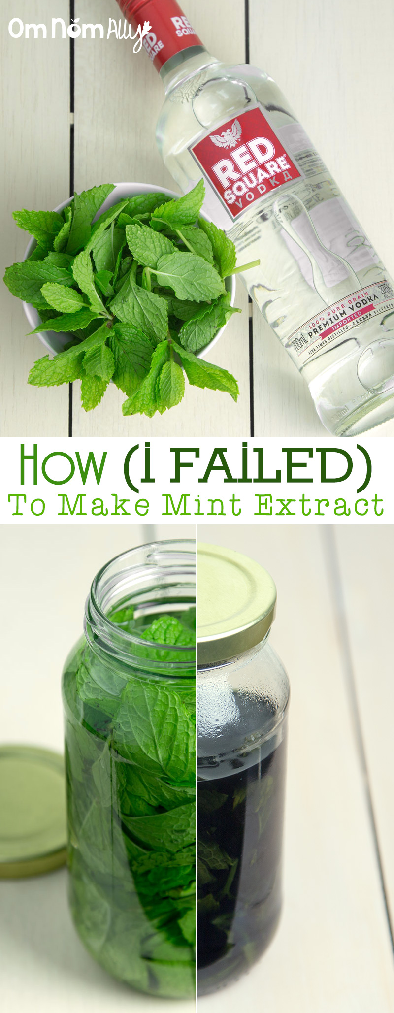 How (I Failed) to Make Mint Extract @OmNomAlly | "This is supposed to be easy, right?"