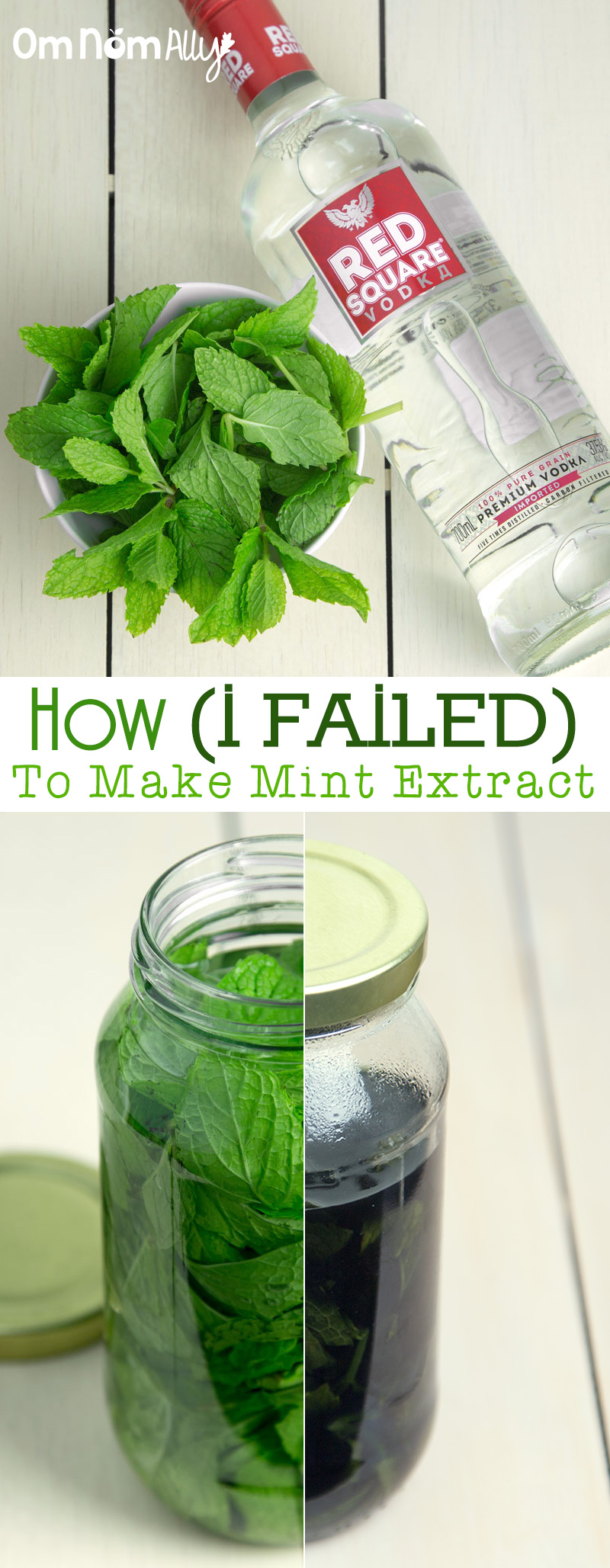 How (I Failed) To Make Mint Extract @OmNomAlly | @OmNomAlly